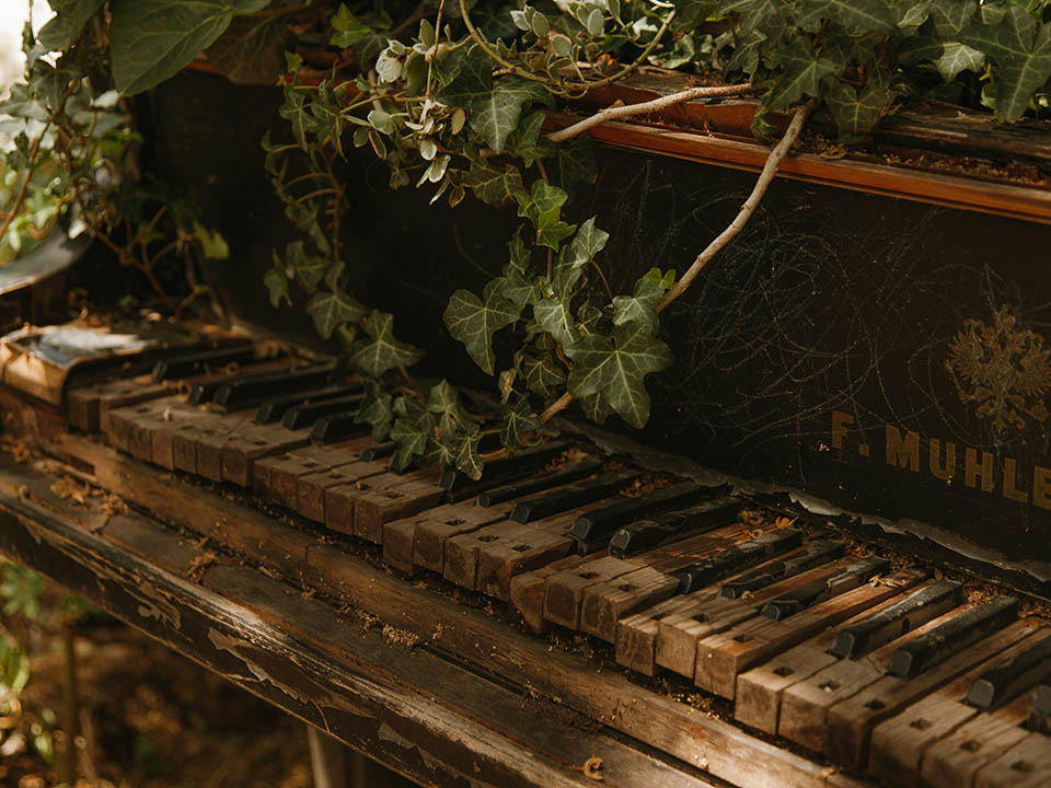 piano-nature